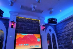 上海浦东新区合庆镇附近酒吧招聘包厢陪唱,招聘信息真实吗？