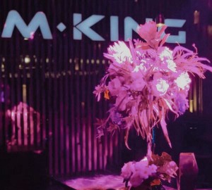 官房酒店招聘司机要求条件（酒店官方招聘司机岗位所需条件）